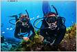 PADI eLearning Open Water Course Divers De
